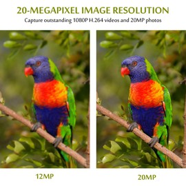 2-Pack Game Trail Deer Cameras No Glow 90ft Night Vision 24MP Picture 1296P H.264 MP4 Video Motion Activated Waterproof 0.1S Trigger Speed Photo & Video Model for Hunting Wildlife or Home Surveillance