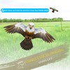 eyijklzo Bird Scarer Hawk Flying Kite with 13ft Telescopic Pole-White