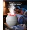 Dual-Function Humidifier & Dehumidifier 152oz Water Tank Steam distillation humidification