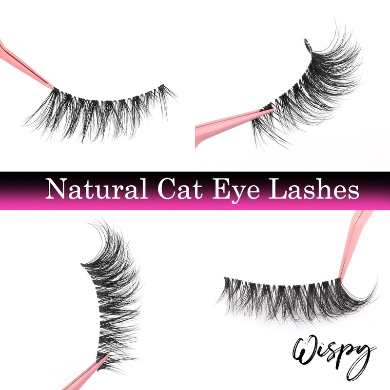 Natural Lashes Strips Wispy Eyelashes with Clear Band 2 Pairs