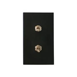 ARUASTUDIO Retro Interior Light Switch ON-Off Set, Switch Plate, Toggle Switch 15A, 250V, AC, 2Pin (Black 002 Silver)
