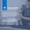 SensoVet Benzoyl Peroxide Shampoo for Cats & Dogs