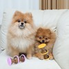Pack of 2 Dog Toys Intelligence, Interactive Dog Toy, Slow