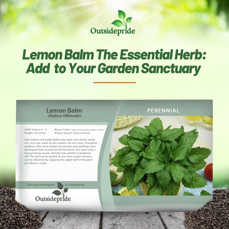 Outsidepride Lemon Bee Balm Seeds - 5,000 Perennial, Easy to