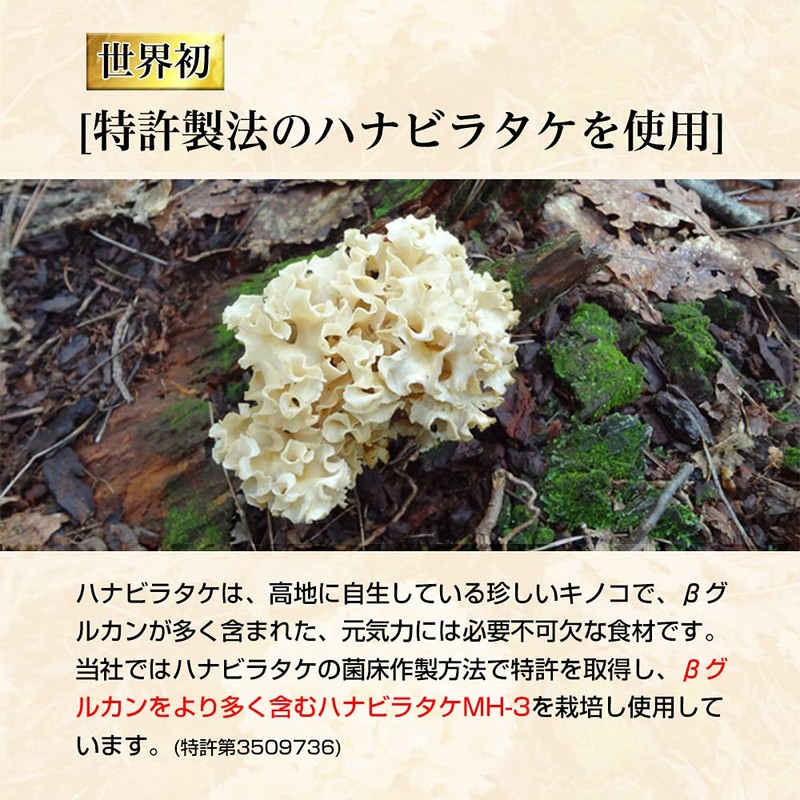ティー・エム・シー βグルカン 高含有 220mg ハナビラタケ サプリメント 120粒 錠剤 元気の源 臨床試験済