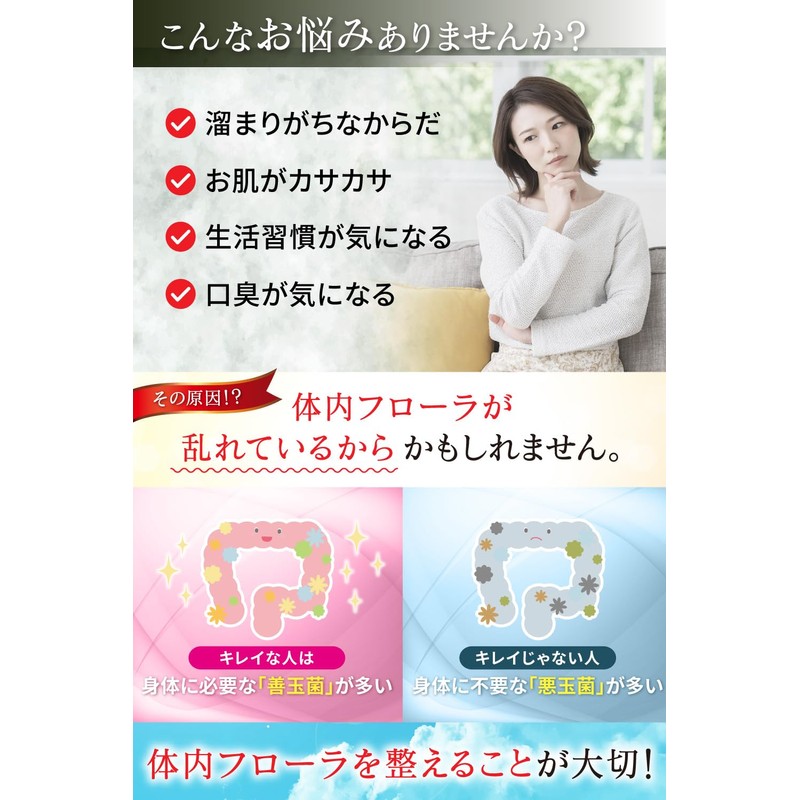 元気を届ける乳酸菌＆ビフィズス菌 PREMIUM 乳酸菌 17種類 乳酸菌 6種類 ビフィズス菌 ６兆個の菌 酪酸菌 イヌリン