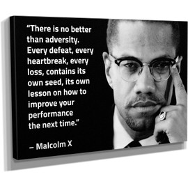Malcolm X Quote Canvas Art Wall Art Home Decor - Various Size (12in x 8in Gallery Wrapped)