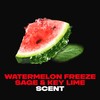 AXE Deodorant Body Spray Watermelon Freeze Fine Fragrance Aluminum Free