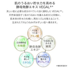 ALCHEMY Intensive Cream [Night Cream]