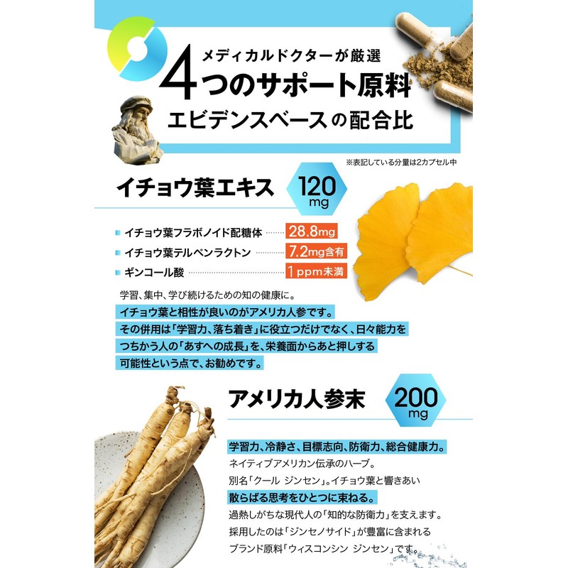 Serotonin Total Toughness Kiron COOL SWITCH / Ginkgo Leaf 120
