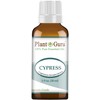 Cypress Essential Oil 30 ml / 1 oz 100% Pure