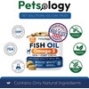 Salmon Oil Omega 3 for Dogs - Vet Recommended -