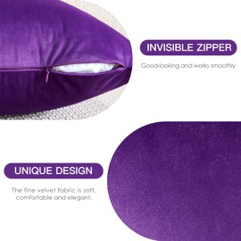 JOTOM Soft Velvet Decorative Throw Pillow Covers 50x50 cm Solid Cushion Covers 20x20 Inch Cushion Case Square Pillow Cases for Couch Sofa Living Room Bedroom Home Decor Set of 2 (Purple)
