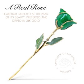 Forever Rose Bloom Box Bundle, 24K Gold Dipped Emerald Rose, The May Birthstone, Real 24k Gold Dipped Rose, Hand Dipped, 11" to 12" in a Beautiful Phantom Vase and Blooming Box
