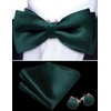 Barry.Wang Emerald Green Bow Ties for Men Pre-tied Bow Tie