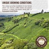 Tarrazu Costa Rica, La Minita Facienda,Whole Bean Coffee by Aroma