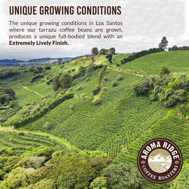 Tarrazu Costa Rica, La Minita Facienda,Whole Bean Coffee by Aroma