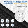 LINNIW TZ-K2 Replacement Filter Compatible with ToLife Air Purifier TZ-K2,