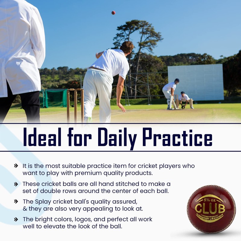 Splay Academy Red Cricket Ball Senior Adult Balls Leather Club