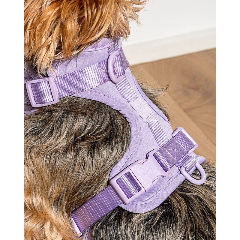 Wild One Harness 2.0 - Medium - Lilac