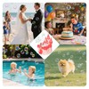 Babuloo Castle Bubble Machine, Automatic Bubble Maker Toys for Kids
