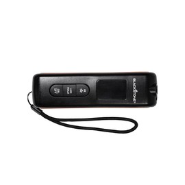 Blackstone Infrared Thermometer with Probe