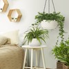 T4U Hanging Planter Self Watering 8 Inch, 2 Pack White