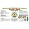 Hawaii Pharm Rehmannia Alcohol-Free Liquid Extract, Organic Rehmannia (Rehmania Glutinosa)