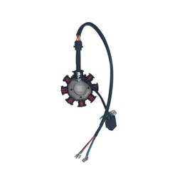 ERRIPA 8 Coil Magneto Stator with 5 Wires for Zongshen CG125, 125cc, 150cc, 200cc, 250cc Scooters, Mopeds, ATVs, Quads, Dirt Bikes and Pit Bikes