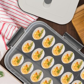 BTSKY Deviled Egg Platter with Lid, 2-Layer 36 Slots Deviled Egg Carrier, Clear Portable Egg Holder for Fridge Reusable Deviled Egg Tray Egg Carton Box for Easter and Party Favor (2-Layer, White)