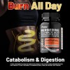 pslalae 20-in-1 Berberine CLA Malic Acid - Acetyl-L-Carni