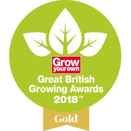 Spear & Jackson 11606PSF/14AMZ 6-Inch Pointing Trowel