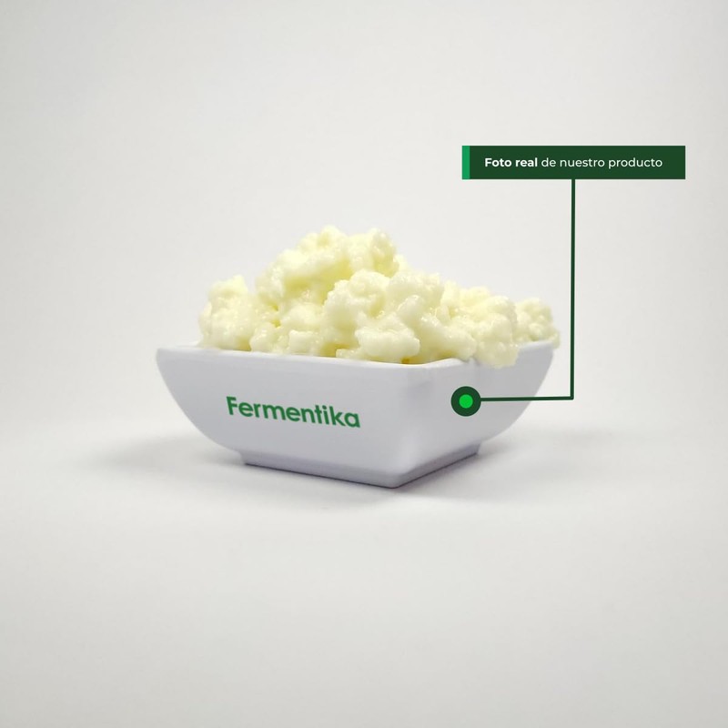 Búlgaros de leche vivos kefir (30 gramos) Incluye ¡App Gratis!
