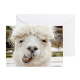 CafePress Funny Alpaca Smile Folded Greeting Card Glossy