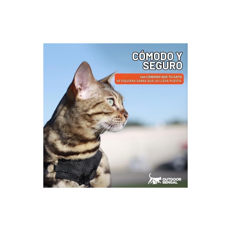 Arnés y correa para gatos, a prueba de escapes, sin