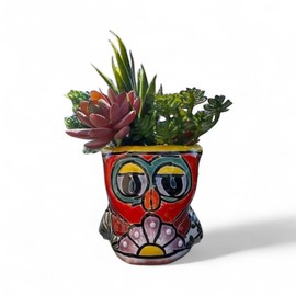 Handmade Talavera Owl Succulent Mini Planter 5.5” x 3.5” with Drainage Hole, Colorful Mexican Pottery for Indoor & Outdoor Use