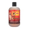 Creolina Pet Shampoo | Shampoo for Smelly Dogs and Soothes