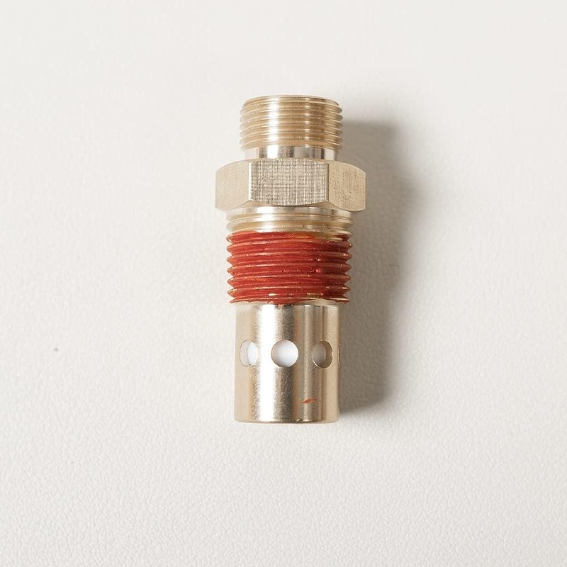 CAC-437-2 Air Compressor Check Valve,Brass 1/2 NPT & 1/2 CFPC