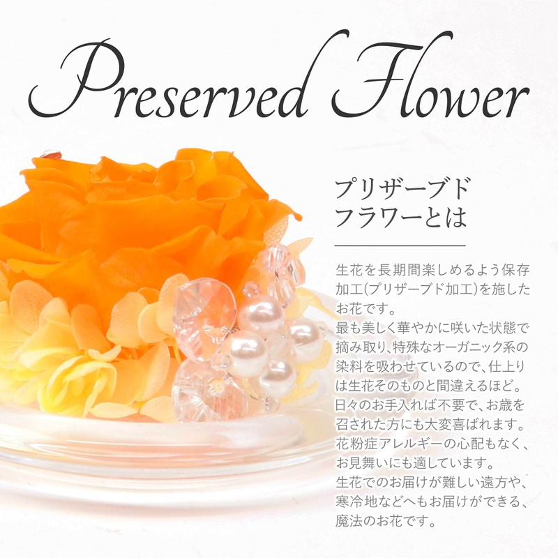Preserved Flower, Glass Dome, Gift, Glass Case, Present, Flower Gift,