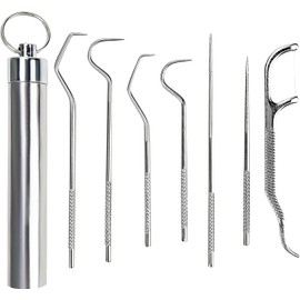 YNR Metal Toothpick Sets Stainless Steel Portable Cleaning Tooth Hook Scraper Picks Reusable Toothpick Holder Dental Picks Kits (7 Pcs Kit)