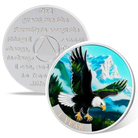 Wings to Soar 1 Year Sobriety Coin, Affirmation AA Medallion, Addiction Recovery One Year Sober Coins, Celebrating Recovery Anniversary Token, NA AA Sobriety Gifts for Men Women
