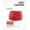 Arjen Kroos Mens Boxer Briefs Breathable Hot Mesh Underwear