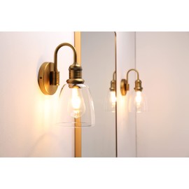 JIMUBEAM 1-Light Vintage Gooseneck Wall Sconce Lamp with Cloche Clear Glass Shade, Industrial Indoor Wall Light Fixture for Bathroom Living Room Bedroom Over Kitchen Sink