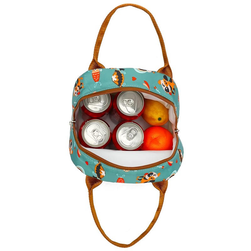 FlowFly Insulated Lunch Cooler Bag - Tote Bag Organizer for