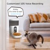 Smart Automatic Cat Feeder, 4L Timed Pet Feeder for Cats