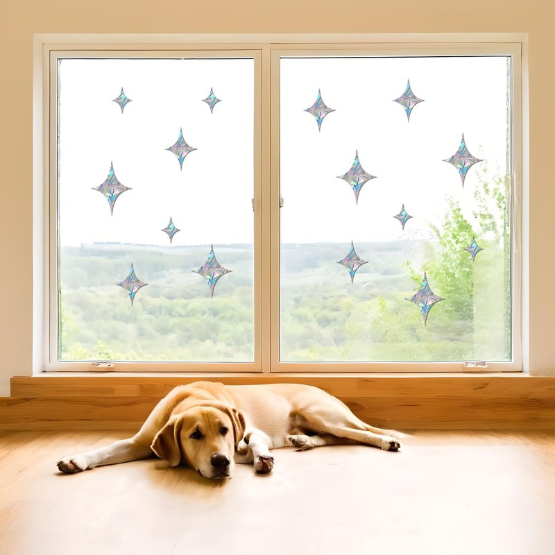 Pack of 39 Prism Window Stickers for Bird Strikes, Anti