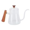 Coffee Kettle Pour Over High Borosilicate Glass Heat Resistant Round