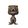 Funko Pop! Movies: Jurassic Park - Velociraptor Collectible Figure