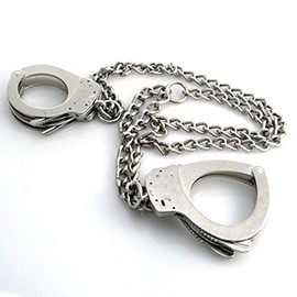 Smith & Wesson Transport Restraint