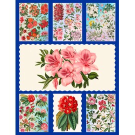 Holographic Stickers Pack # Rhododendron Azaleas Beautiful Flowers Antique Botannical Book Engraving Illustration HANATABA Vintage Styled Wall Laptop Large Vinyl Hologram Stickers